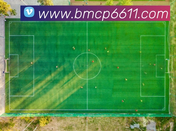 中彩网服务体系